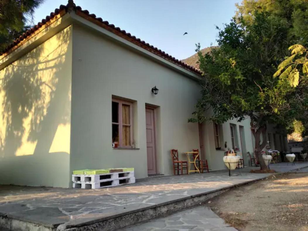 Arsinoe - Cosy Guesthouse- Methana Exterior photo